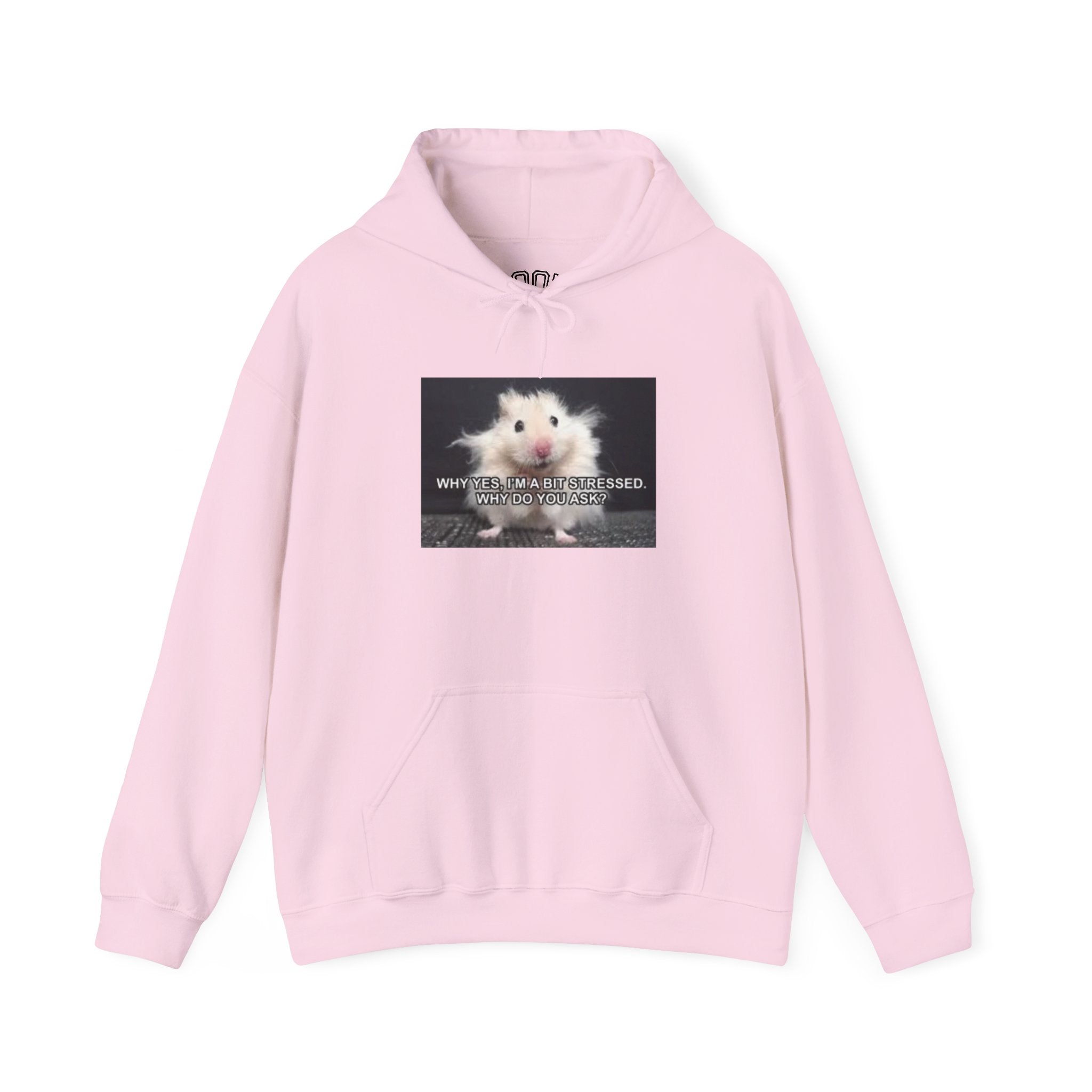 Hoodie — Cute Fluffy Hamster Graphic "Look Different" Pullover