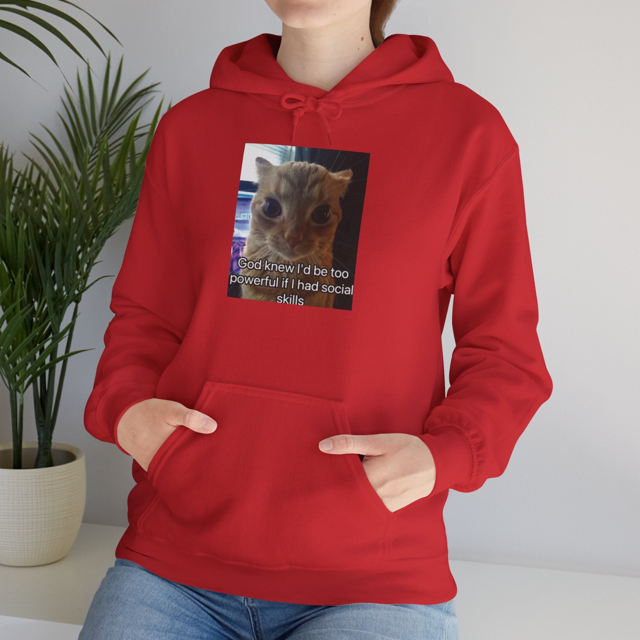 Hoodie — Funny Cat Meme ‘I’d Be Two Weeks Ahead If I Had Social Skills’ (Look Different Back)